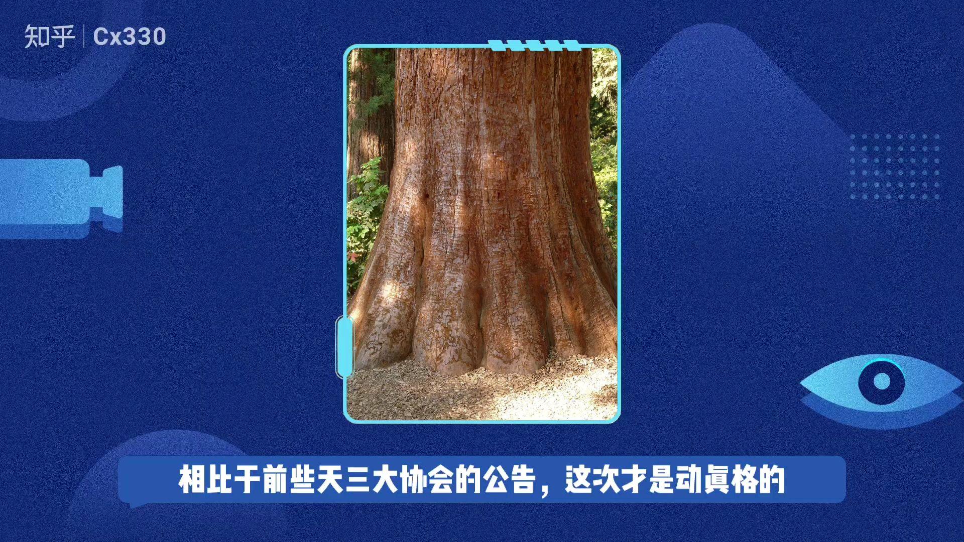 中本聪什么时候上交易(中本聪什么时候能卖) 中本聪什么时候上交易(中本聪什么时候能卖)