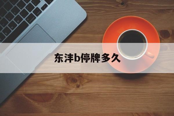 东沣b停牌多久(重组停牌最多能停多久)